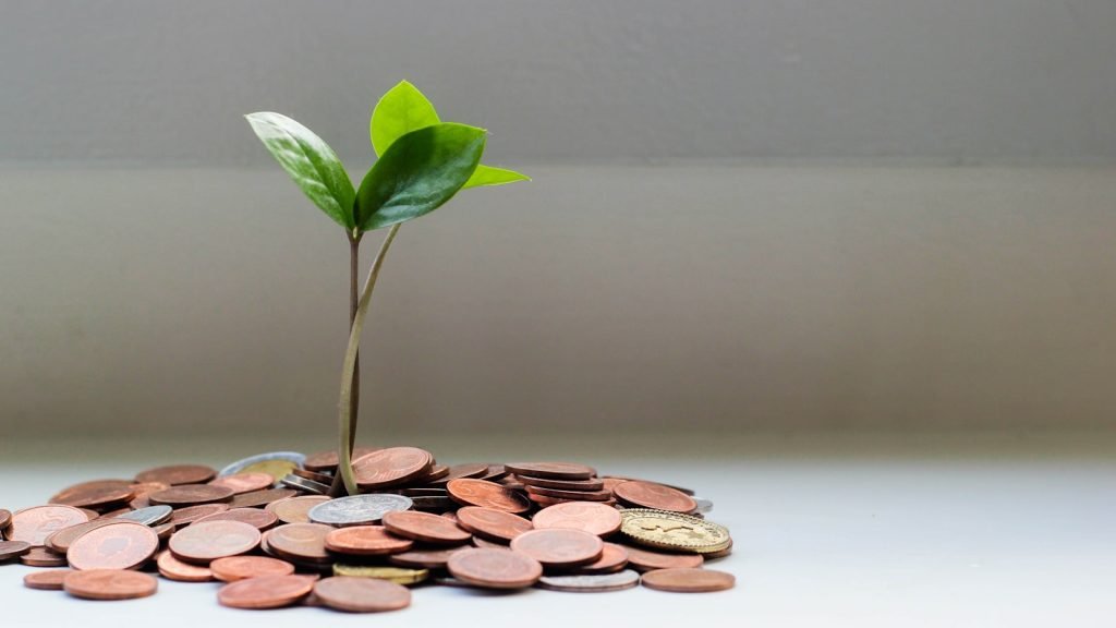WordPress website cost small business budget buckets